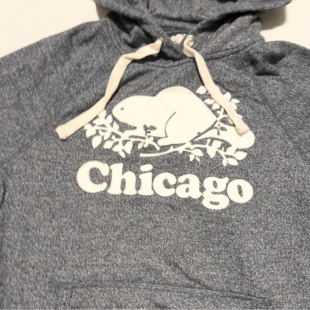 Roots Chicago Womens Hoodie Size XS Sweater Pullover - Picture 2 of 15